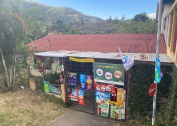 Palabras ticas en desuso en la Memoria Lingüística de Costa Rica