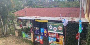 Palabras ticas en desuso en la Memoria Lingüística de Costa Rica