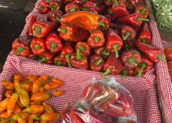 En Feria del Agricultor: El corazón social de Escazú late cada fin de semana