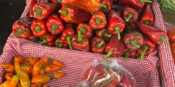 En Feria del Agricultor: El corazón social de Escazú late cada fin de semana